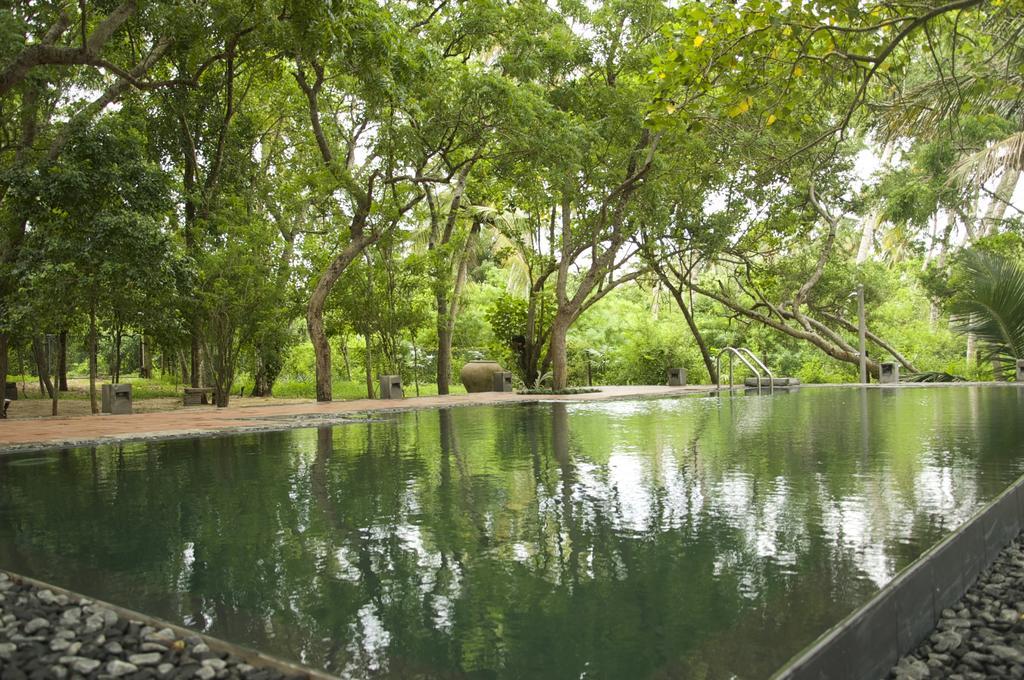 Lagoon House Rekawa Tangalle Exterior foto
